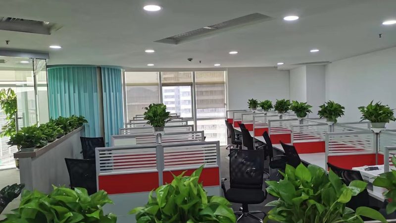 连锁企业咨询规范标准：构建高效运营的基石**