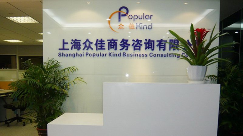 IPO咨询团队人员配置：关键角色与能力要求揭秘