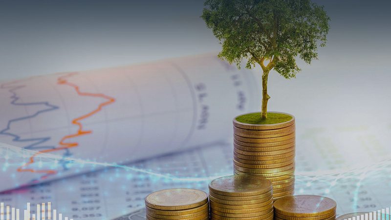 企业培训咨询顾问收费揭秘：如何理性评估价值